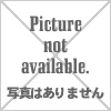 産業用パネルPC